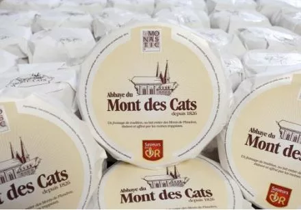 Montede cats cheese