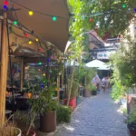 Courtyard terrace at Les Compagnons de la Grappe, one of Lille's most charming hidden restaurants.
