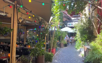 The best terraces in Lille