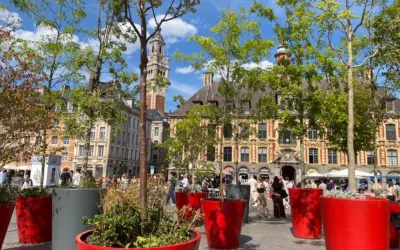 Free visits in Lille : a local’s guide to the city’s best free spots