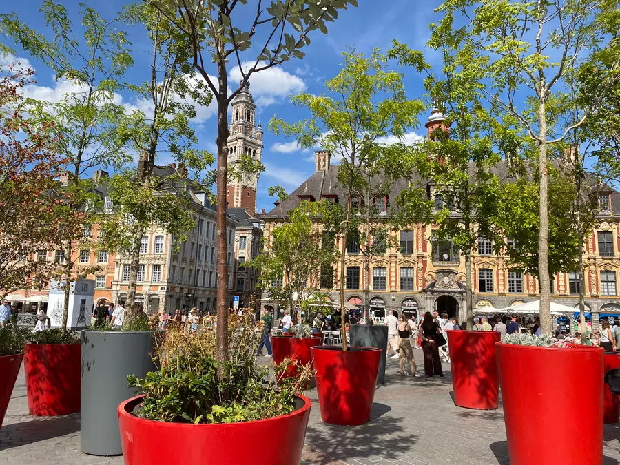 Free visits in Lille : a local’s guide to the city’s best free spots